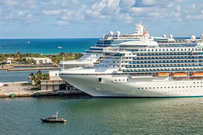 Cruise ship docked at a tropical pier