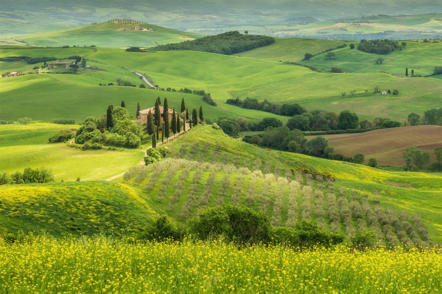 Green Tuscan hills and cypress trees